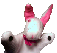 The magic rabbit puppet